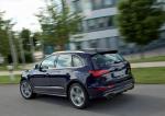 Audi SQ5 TDI 2013 года (WW)